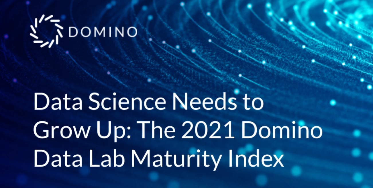 2021-domino-data-lab-maturity-index