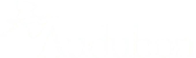 audubon-white
