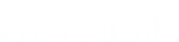 numenta-white