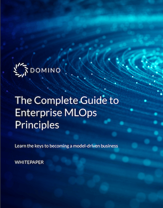 Domino Enterprise MLOps Principles